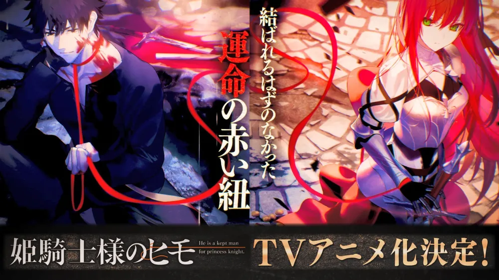 Hime Kishi-sama no Himo anime