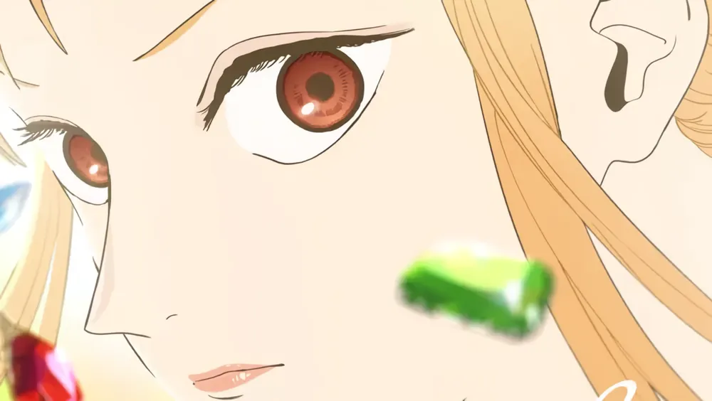 One Piece Heroines Anime Adaptation Announced 