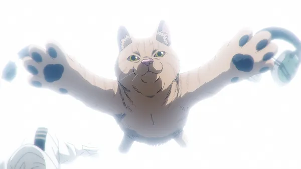 Image for Nyaight of the Living Cat Anime Reveals Trailer, July 6 Premiere
